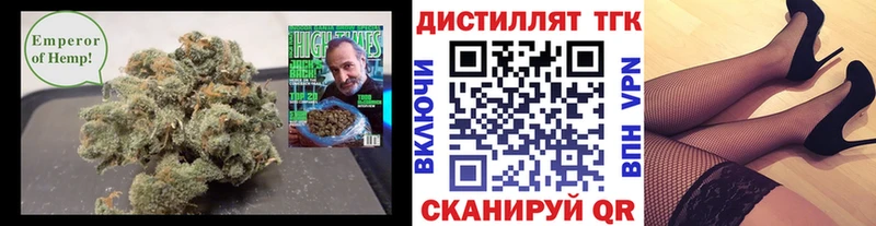 мега ONION  как найти закладки  shop как зайти  Дистиллят ТГК THC oil  Новоузенск 
