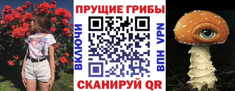 Псилоцибиновые грибы прущие грибы  МЕГА ONION  Новоузенск 