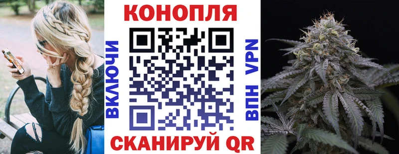 OMG ССЫЛКА  Новоузенск  Канабис план 